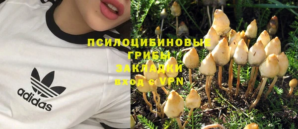 бутират Богородицк