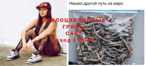 хмурый Богданович