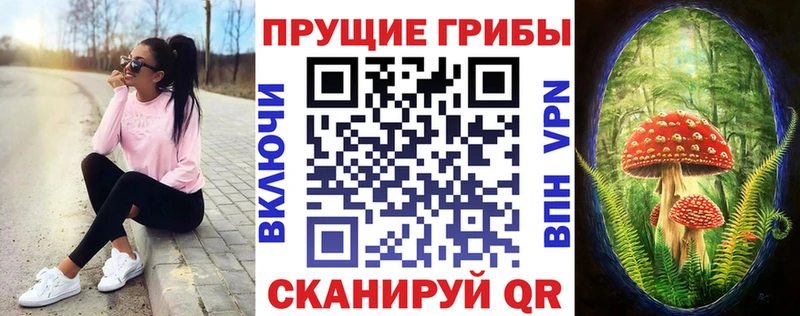 Галлюциногенные грибы Psilocybine cubensis  Купить где  Гурьевск 